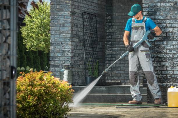 Best Roof Cleaning and Mildew Removal in New Albany, IN